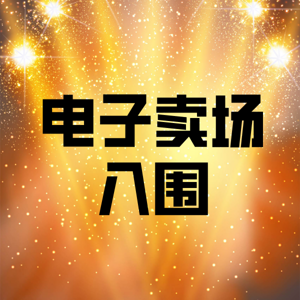 泸定电子卖场入围